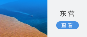 东营